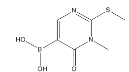 1-methyl-2-(methylthio)-6-oxo-1,6-dihydropyrimidin-5-ylboronic acid