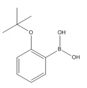 2-tert-butoxyphenylboronic acid  