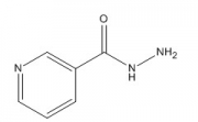 nicotinohydrazide 