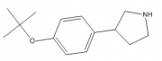 3-[4-[(2-methylpropan-2-yl)oxy]phenyl]pyrrolidine