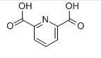 CAS NO.499-83-2 / 2,6-Pyridinedicarboxylic acid 